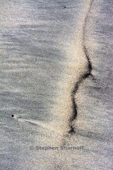 sand pattern 3728 3 graphic